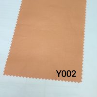 Y002